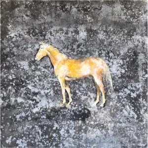 Claudio Missagia - İtalyan Ressam - Cavallino - İmzalı 'Missagia Cavallino' (arkası) - Tuval Üzerine Yağlıboya - 115.00 x 115.00 cm